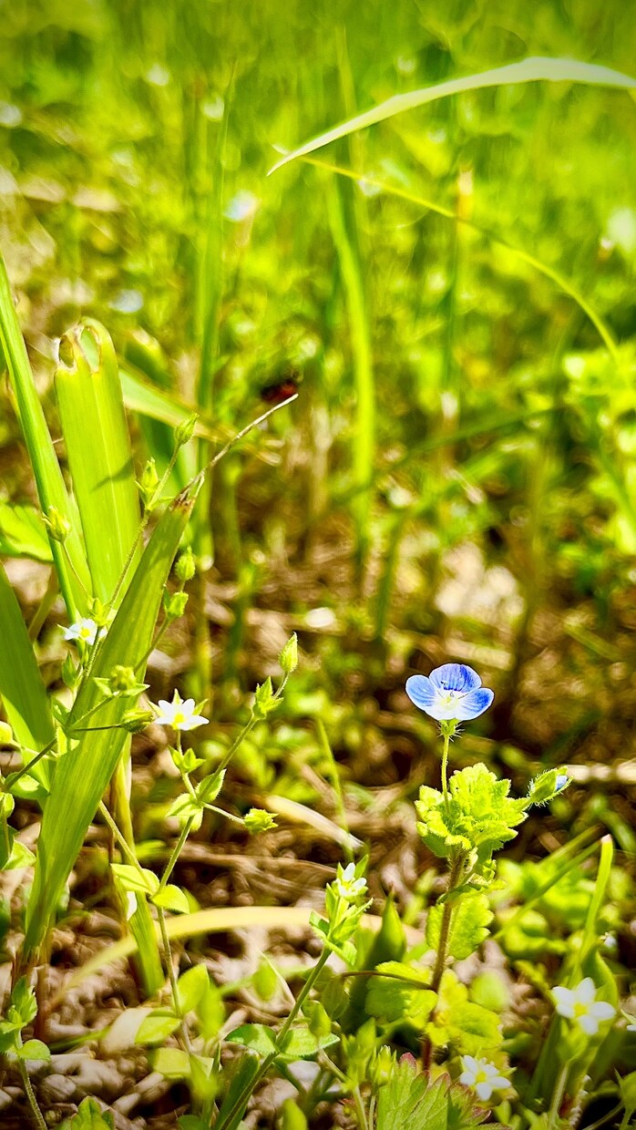 あなたのモヤモヤした気持ち、ちょっとスッキリします 生きずらい今を生きる貴方の悩み、思う存分話して欲しい イメージ5
