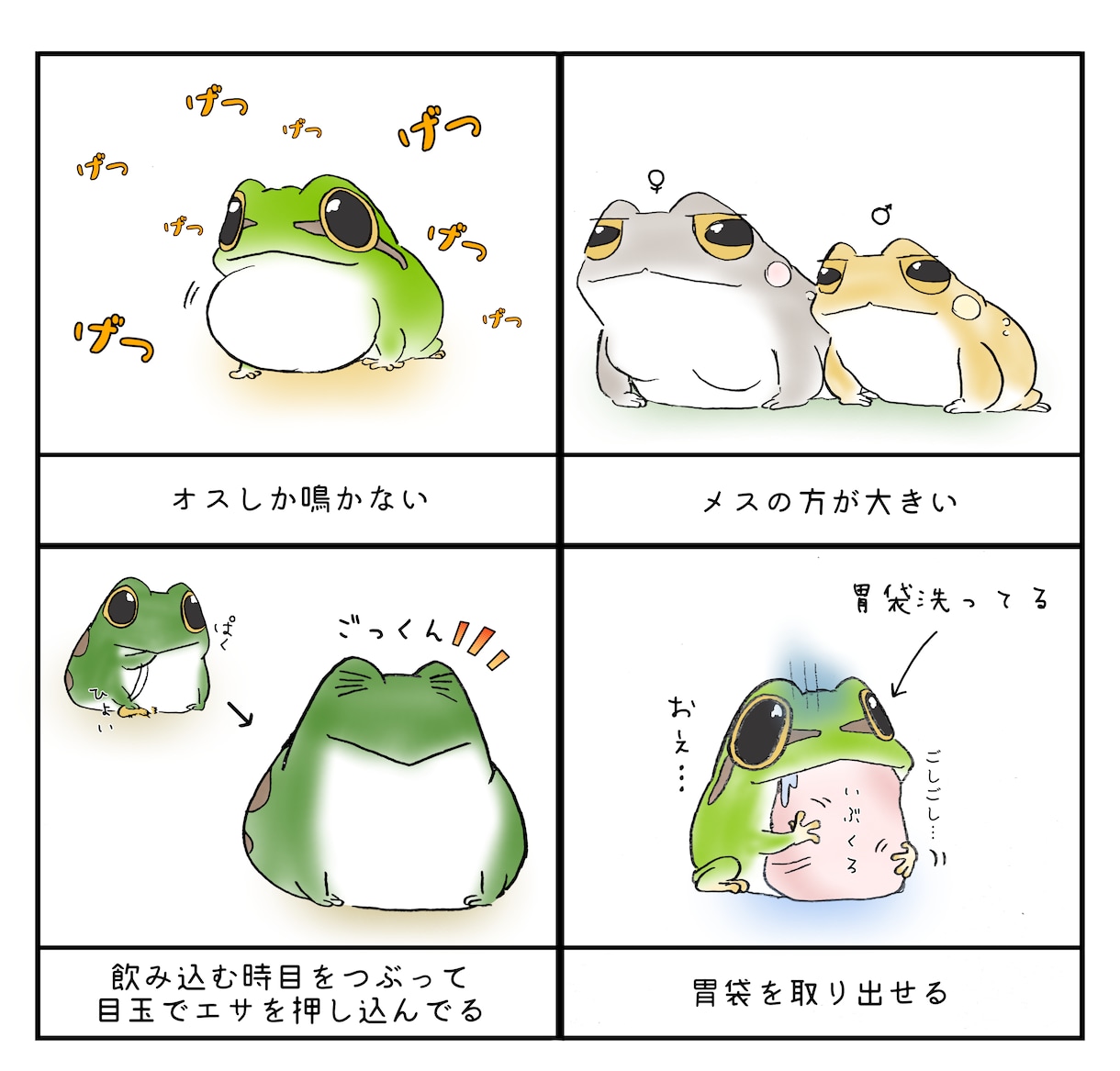 商用利用可★可愛い生き物のイラストを描きます 3枚で12000円のお得なセットです♪ イメージ5
