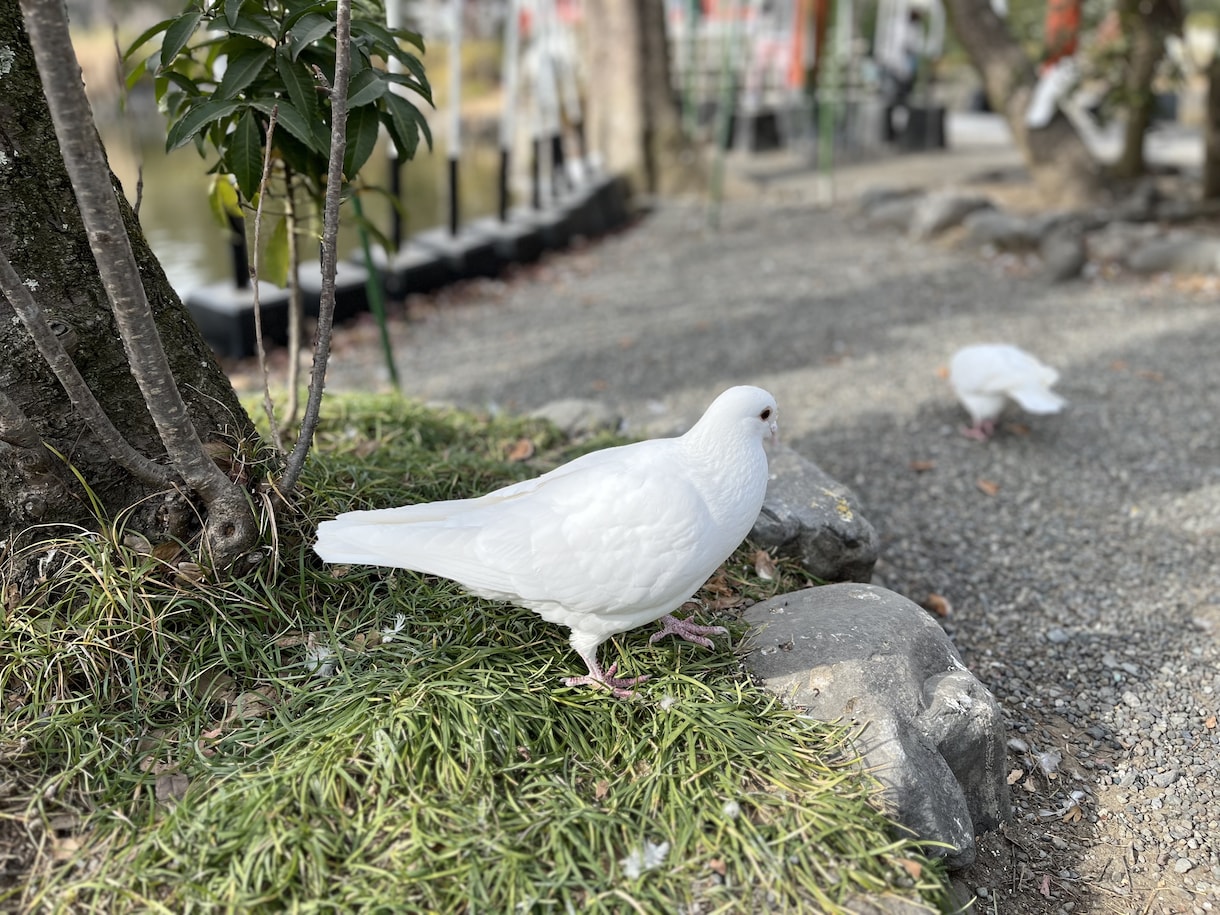 霊視・霊感でしっかりと鑑定。復縁できます 男性心理をズバリと解説します。目から鱗の鑑定をお試し下さい。 イメージ4