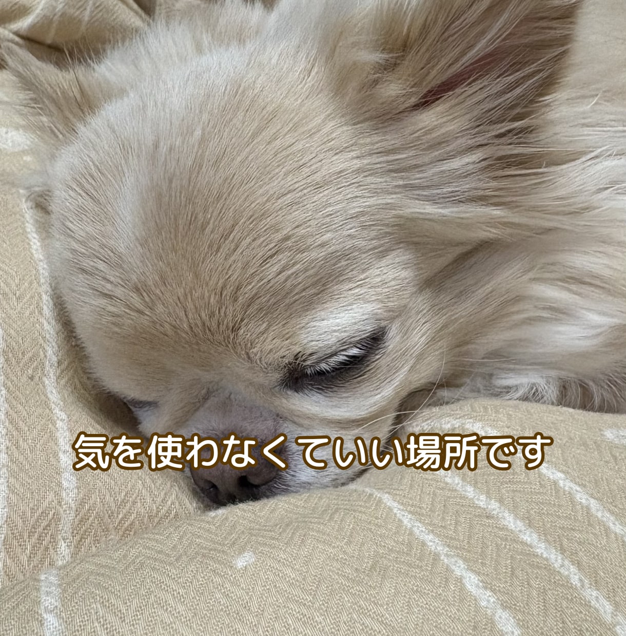 誰かと話したい時のチャット 話し相手になります 雑談・寂しい・ただ聞いてほしい・チャット・話し相手 イメージ2