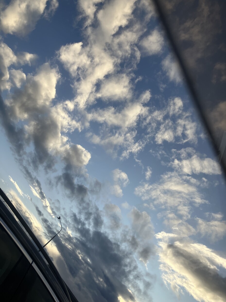 商用利用可能な写真素材1~30枚提供します 具体的には自然の風景、猫や鶏、犬などの動物の写真を提供します イメージ4