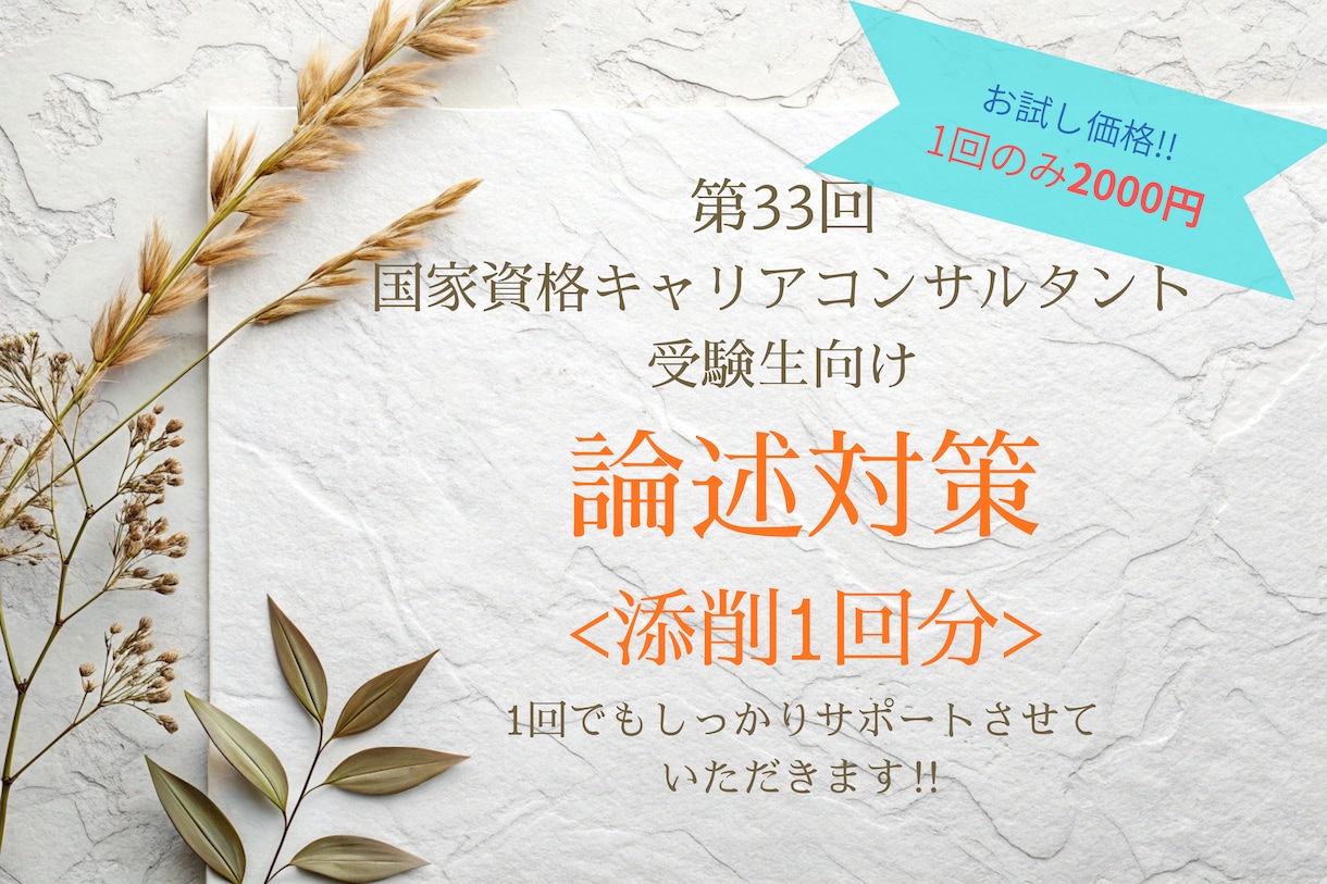 キャリコン論述試験が苦手な方を添削しします オールA判定・論述40点の私が考え方から丁寧に解説 イメージ1