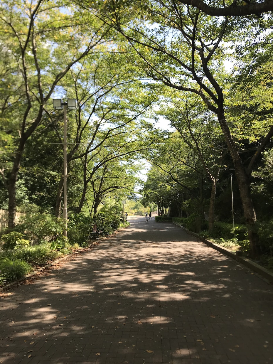 引きこもりから脱出する為のアドバイスできます 引きこもり経験あります。元気になった経験を伝えたい。 イメージ2