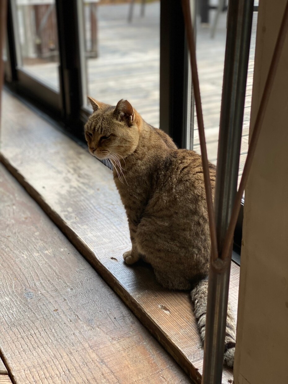 飲食店で働く方へ、悩み相談乗ります 人間関係が複雑な飲食店、ガス抜きしながら、良い店を作ろう！ イメージ4