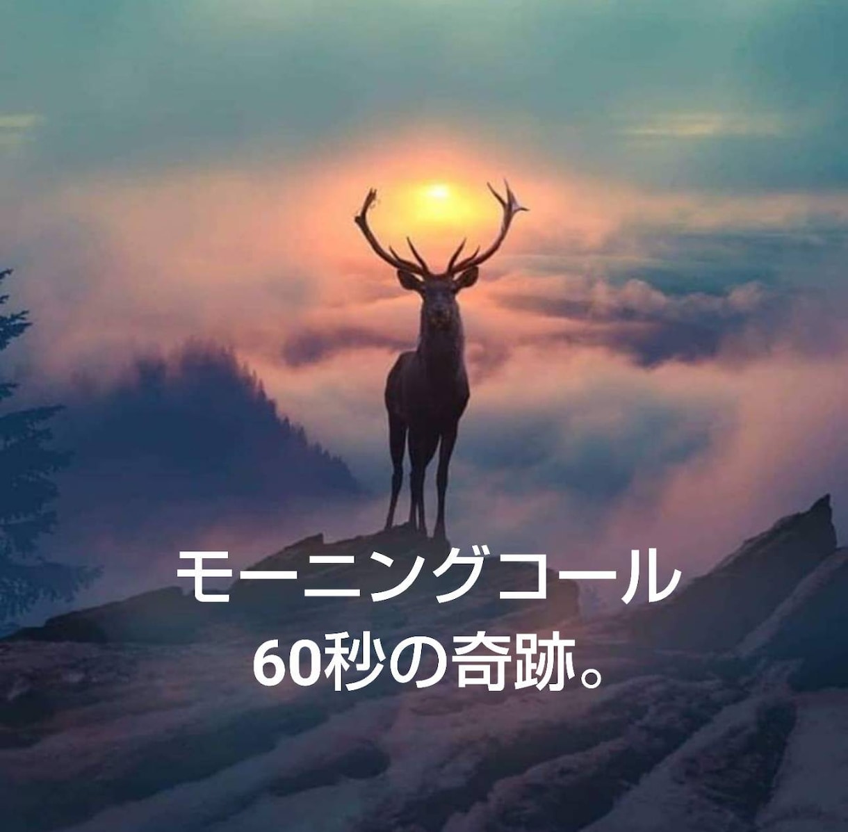 女性限定：愛すべき日々に安心と潤いをご提供致します 従順で心優しく、勤勉な「執事」を必要とされているあなた様へ。 イメージ6