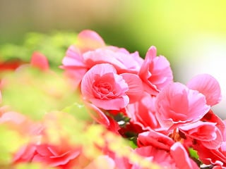 あなたのお話ききます 愚痴も 惚気も 妄想も すべて！ イメージ2