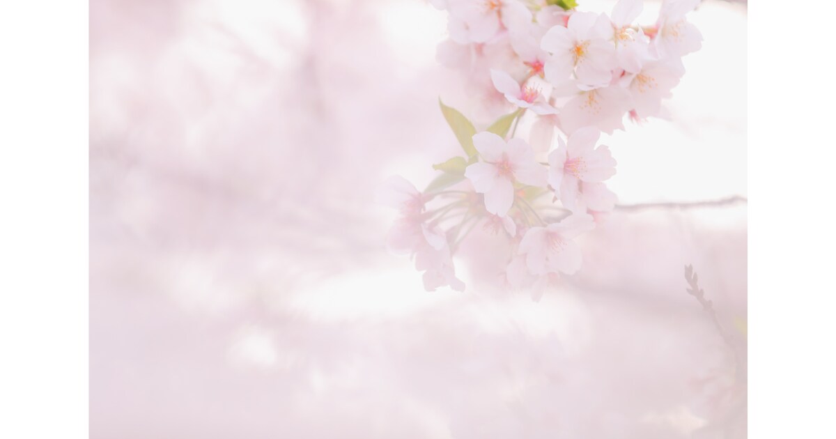 1分でもOK！現役看護師の私が優しくお話聞きます 聴くプロが寄り添う、「ちょっと話したい」に応えます イメージ10