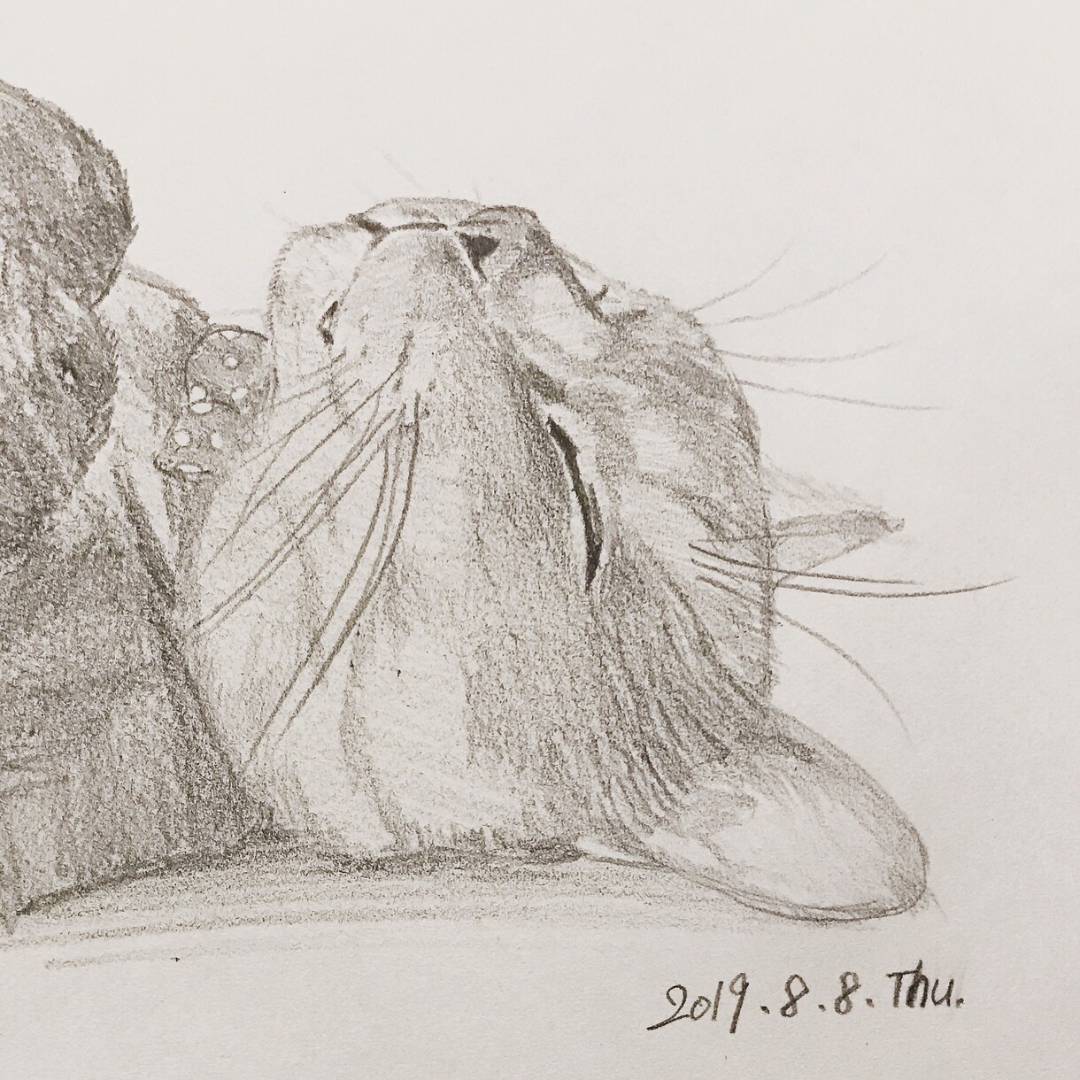 写真から人でも動物でも似顔絵描きます リアルでもポップでもご希望に応じて描きます！ イメージ2