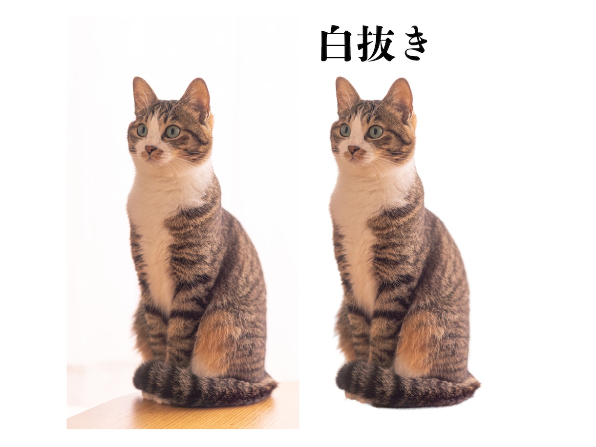 画像加工　写真の白抜き、背景透過、合成を承ります ココナラデビューを記念して低価格で画像、写真加工を致します！ イメージ2