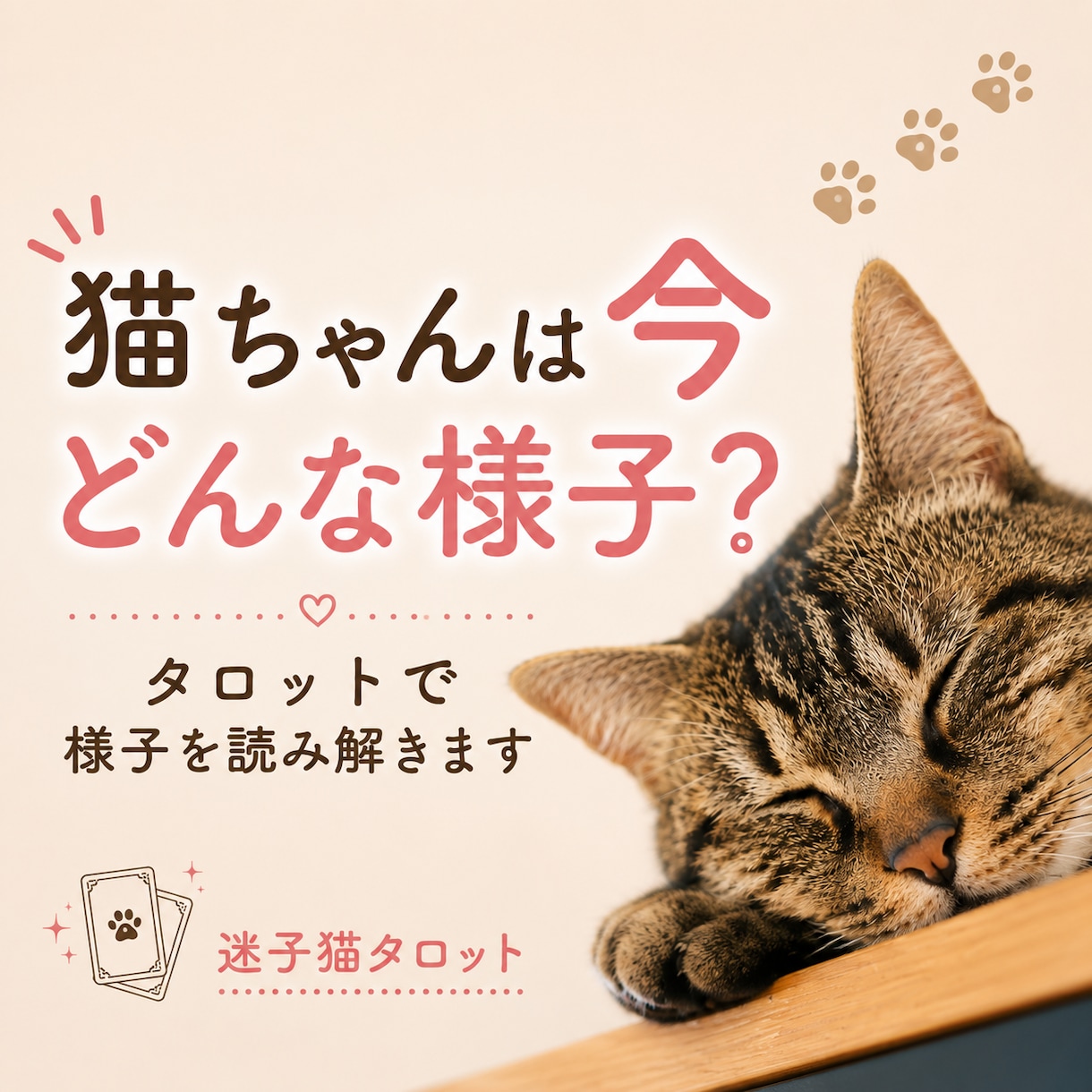 猫ちゃんの様子や今の印象をタロットで読み解きます 愛猫の脱走を経験した鑑定士が心を込めて鑑定します。 イメージ1