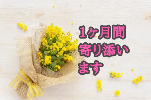 1ヶ月間  心のサポートを致します お悩みを一緒に考えます。寄り添います。安心なサポートをします イメージ1