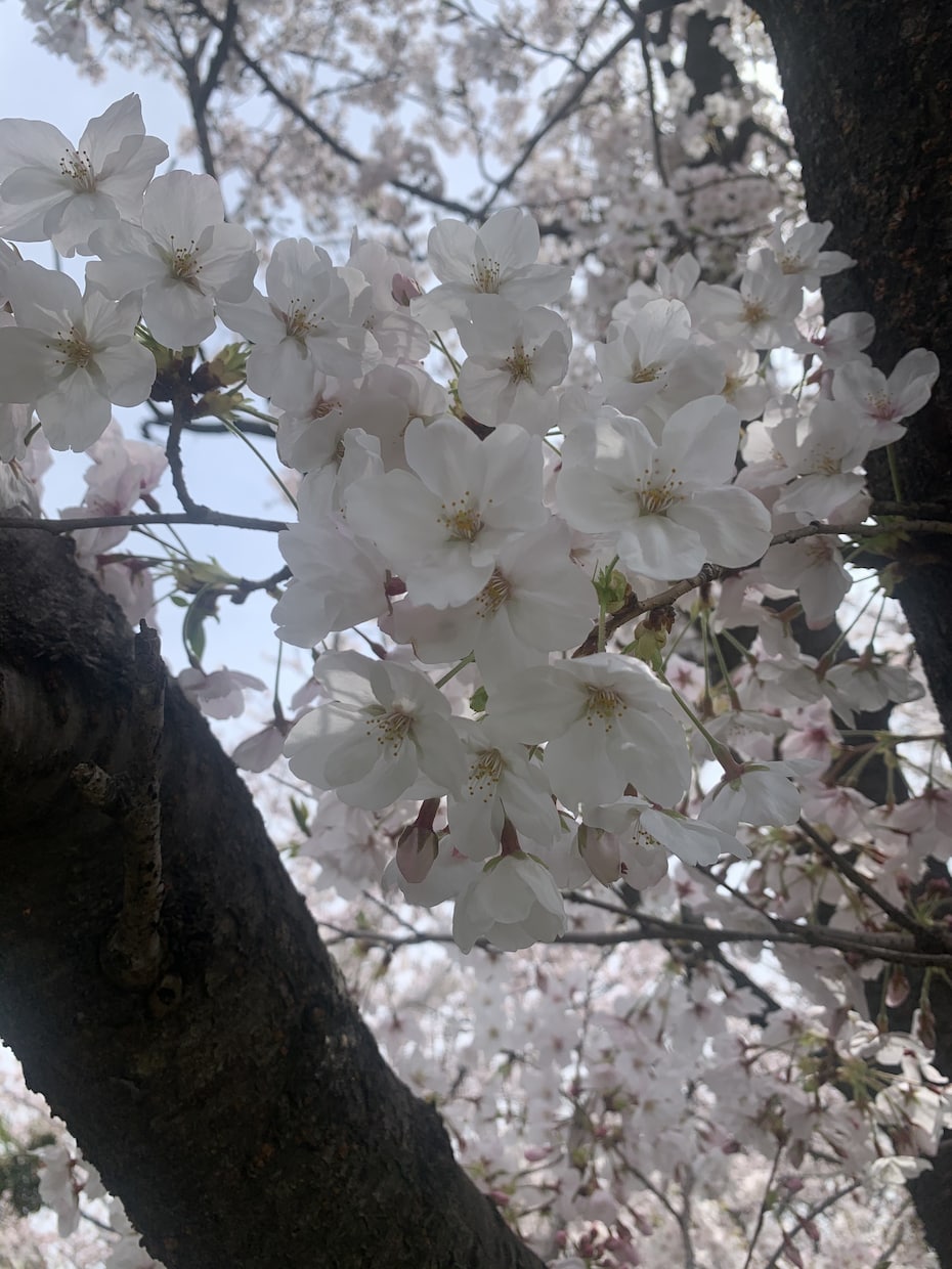 愚痴聞き自分に自信がない方褒めてあなたを応援します 少し話しして違うなぁ〜と思ったら切って頂いても構いません。 イメージ1