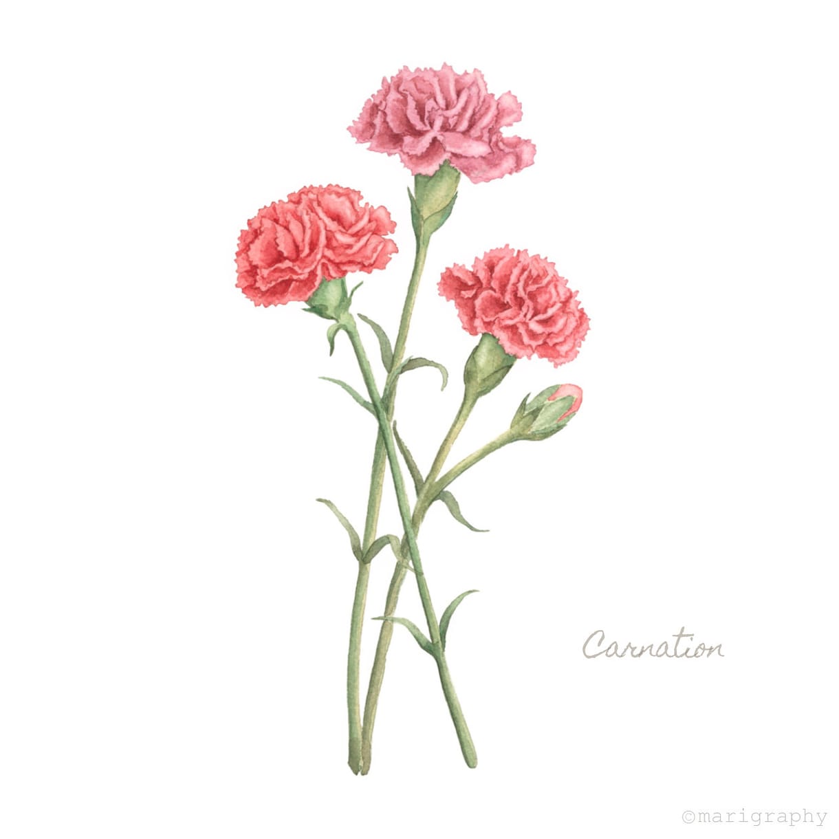水彩画でお花のイラストを描かせていただきます 〜丁寧なヒアリング〜 温かく優しいタッチが得意です♪ イメージ6