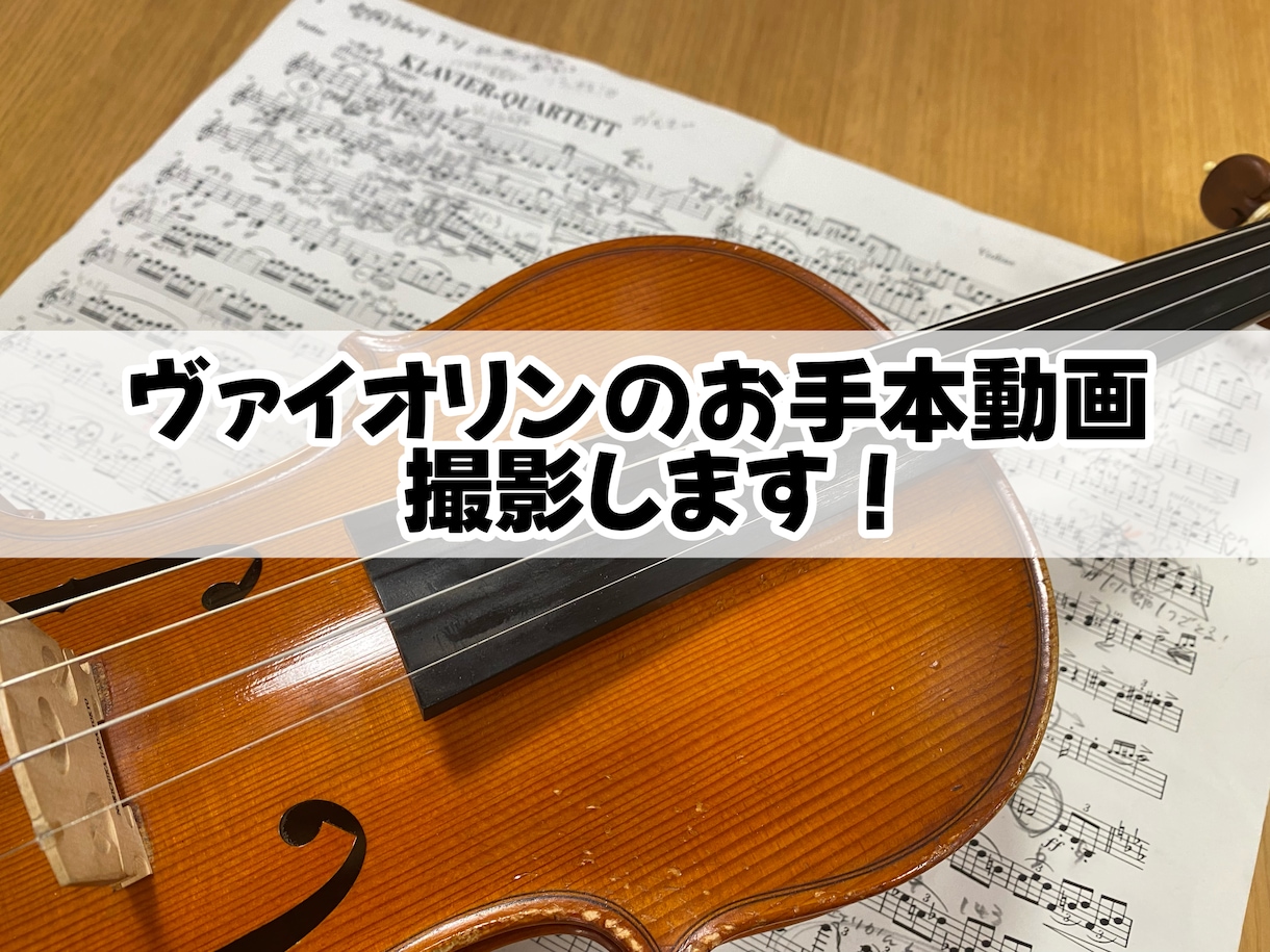 藝大卒プロヴァイオリニストがお手本動画を撮影します 藝大卒プロ奏者があなたの練習をお手伝いします イメージ1