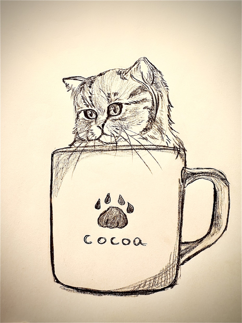 猫ちゃんのイラスト描きます 写真があればどんな猫ちゃんも描きます✏️ イメージ1