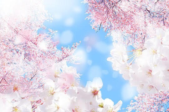 元幼稚園教諭があなたのお話し聞きます お子様のこと、子育てのこと、なんでもお話しください イメージ1