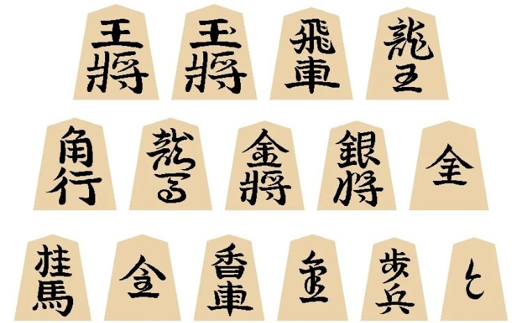 道場4段が級位者の皆様を段位者に押し上げます 級位者（初学者-1級）で伸び悩んでる方を段位者へ！ イメージ1