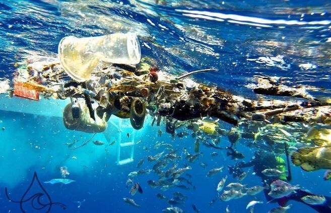 包装資材のコンサルティングをします 早く進めましょう、脱プラスチック。 イメージ1