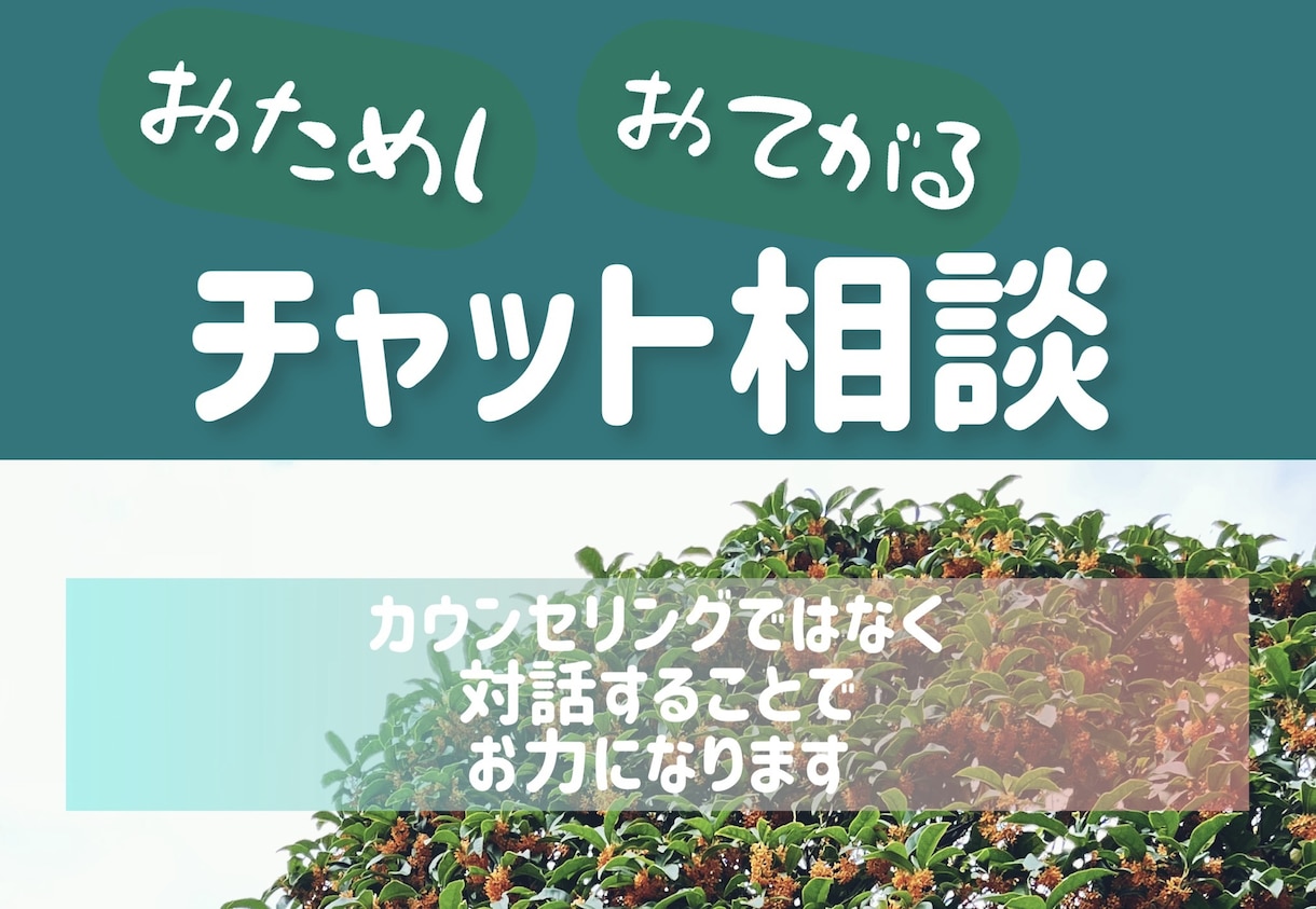 5往復◎ペース、内容はあなたの自由でお話ききます 話をきくことが大好き！あなたのお話何でもきかせてください⋆꙳ イメージ2