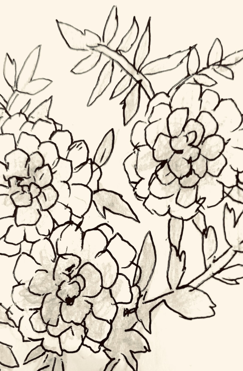 お花の写真をもとにイラストを描きます ひまわりのような笑顔をお届け〜あなたの心に大輪を咲かせます〜 イメージ2