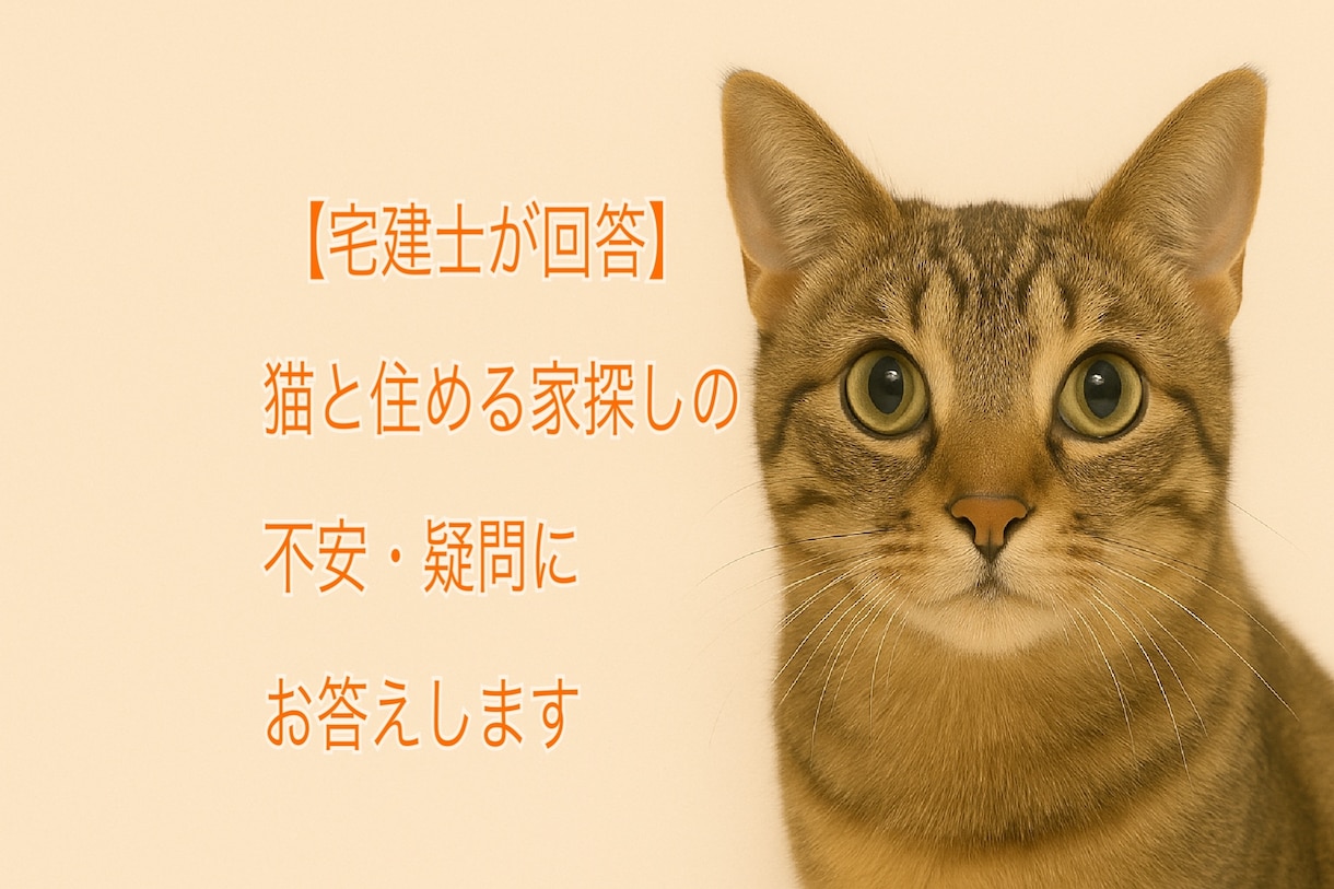 宅建士が回答⭐︎猫と暮らすヒントをお伝えします 賃貸売買・猫可物件の選び方、猫と安心して暮らしたいあなたへ イメージ1