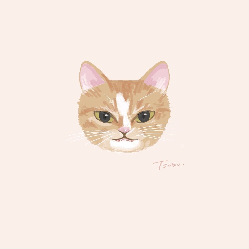 迅速納品！ペットの個性が溢れたイラストを作成します 獣医師希望水族館飼育員が命を吹き込むゆるふわペットアート イメージ6