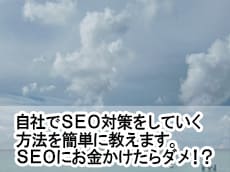 自社でSEO対策をしていく方法を簡単に教えます SEO対策で悩んだり困ったら相談下さい。 イメージ1