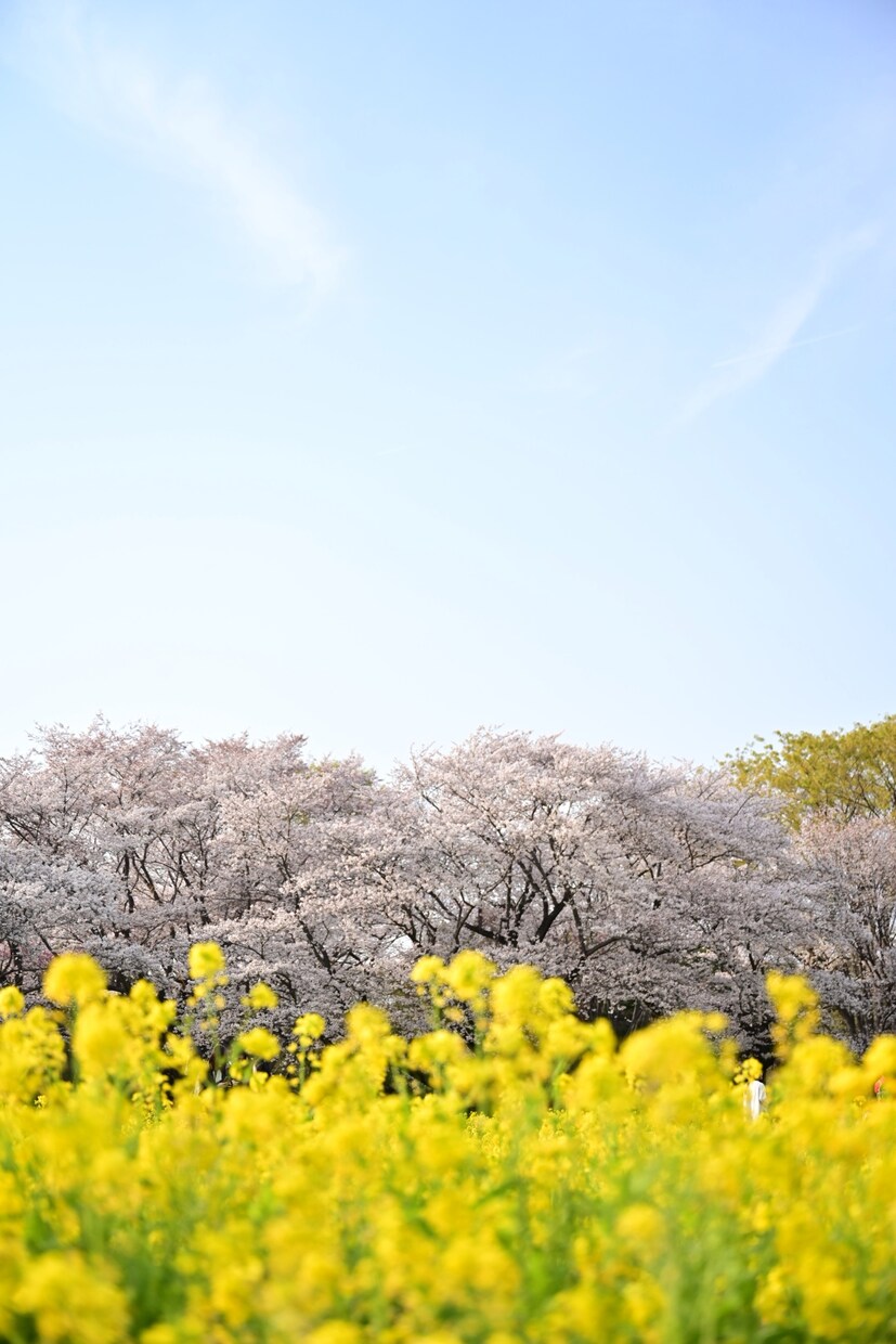 あなたの日常をどんな事でも受け止めます 日常の楽しいことから苦しいことまで、少しでも生活に寄り添える イメージ3