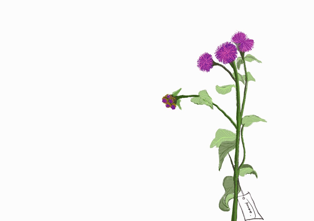 色のシンプルイラスト描きます 小物いくつでも無料！即日〜5日のスピード納品^_^ イメージ7