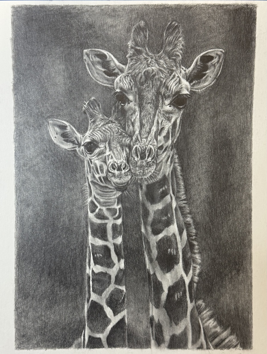 鉛筆画でリアルな絵を描きます ペットや風景の絵など思い出作りに イメージ4