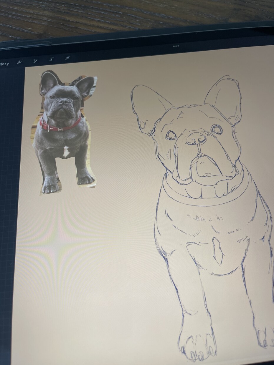 ワクワクかわいいペットの似顔絵描きます 写真をもとにチョーク風でリアルに描きます。 イメージ4