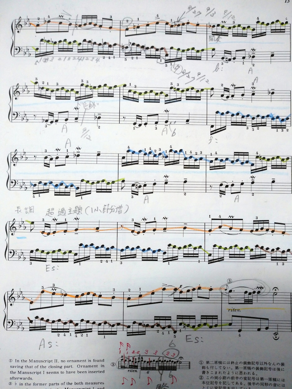 楽曲分析（アナリーゼ）を致します 演奏指導や譜読みのお手伝いをします イメージ3