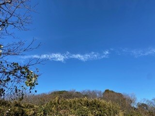 外観でわからぬ不調や働けない焦り…その声を聴きます 心に優しく寄り添います。自身のペースでゆっくりお話しください イメージ5