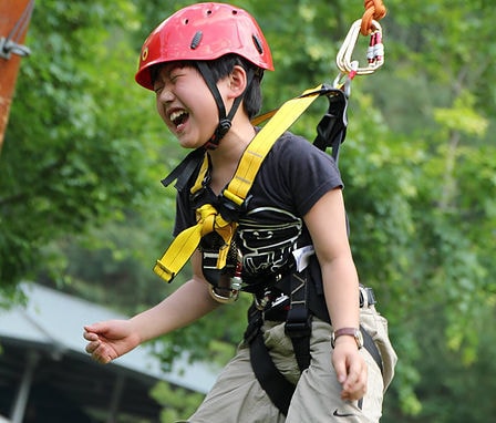 受験、補習、発達障がい、カウンセリングいたします プロの学習支援、カウンセラーが支援。社会性、協調性が身につく イメージ2