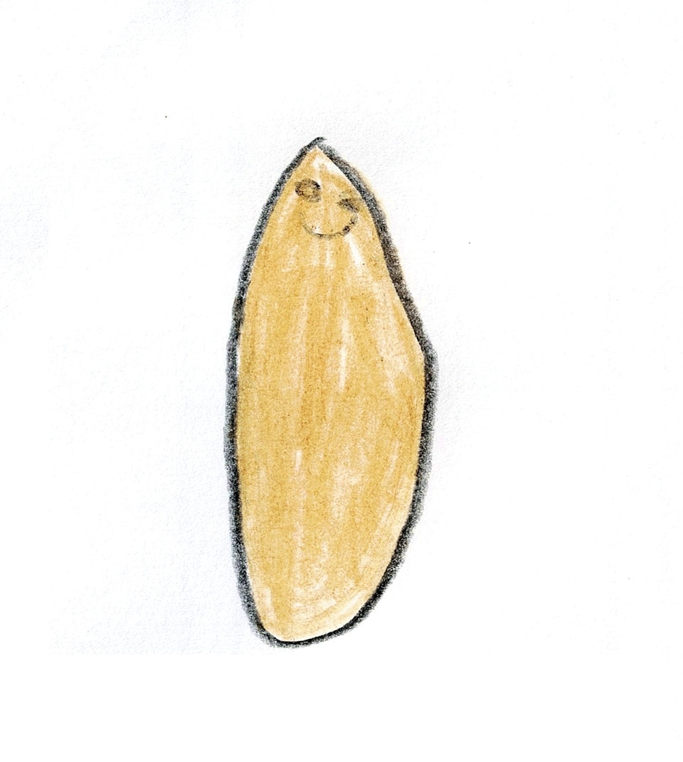 ユニークな似顔絵描きます 小学生が直感と感性で描く可愛くて面白い似顔絵 イメージ1