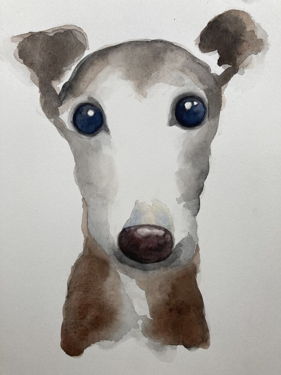 大切な愛犬の似顔絵を描きます 水彩画で色鮮やかな似顔絵を描きます！ イメージ4