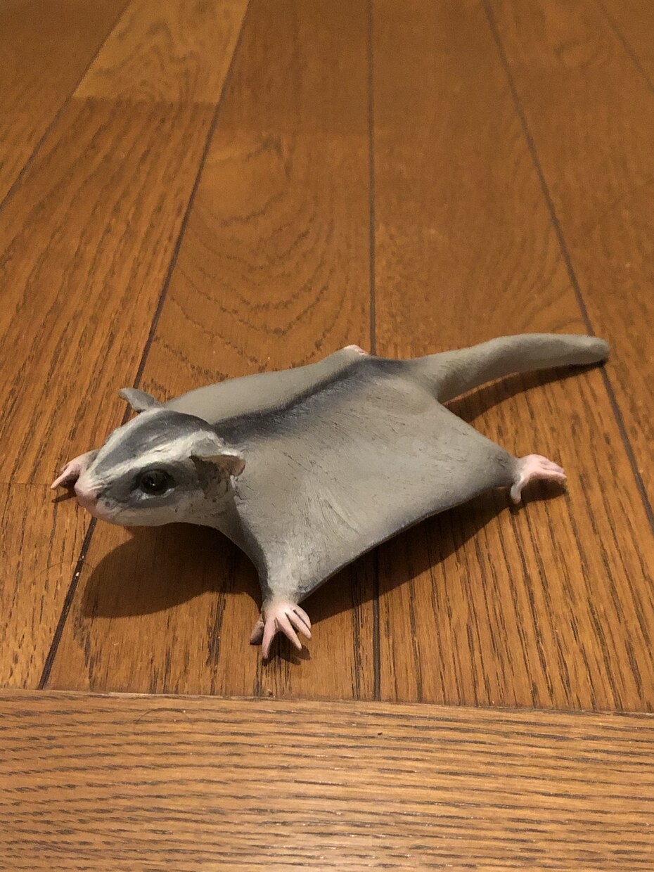 ペットの人形【小】を紙粘土で造ります 飼ってる、または飼っていたペットの思い出を形にします。 イメージ8