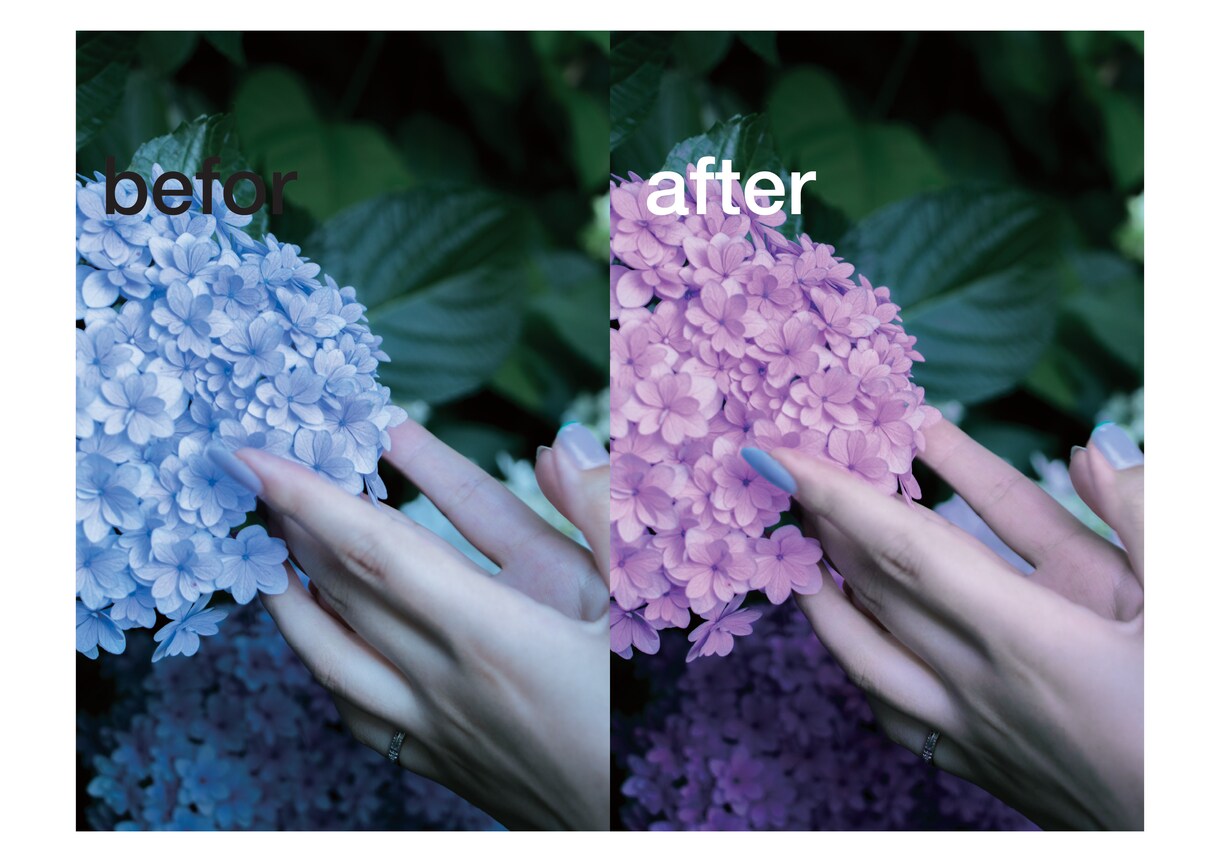 自然で透明感のあるレタッチ(人物・風景)いたします 「もっとこうだったらな」という写真への思いを実現させます イメージ3