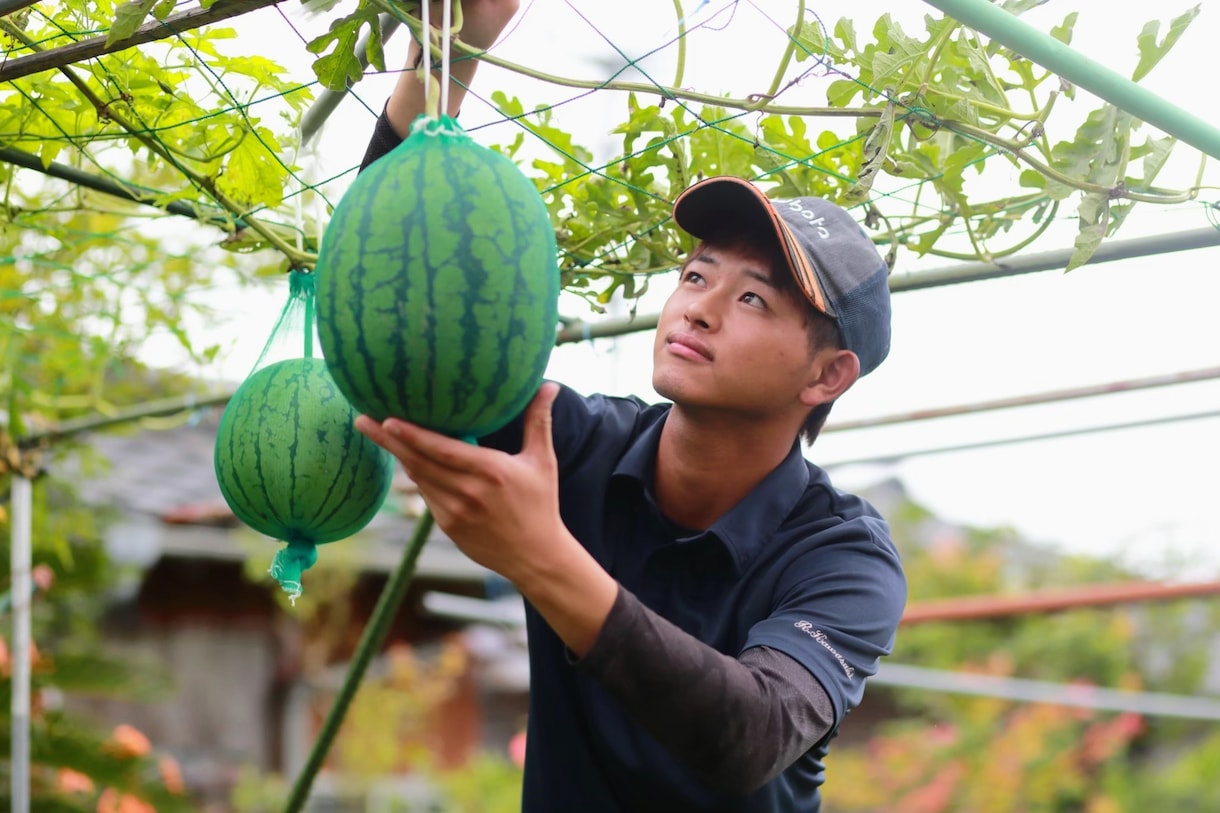園芸相談お聞きします 【美味安全野菜栽培士】が野菜・果樹お困りな事解決します！ イメージ2