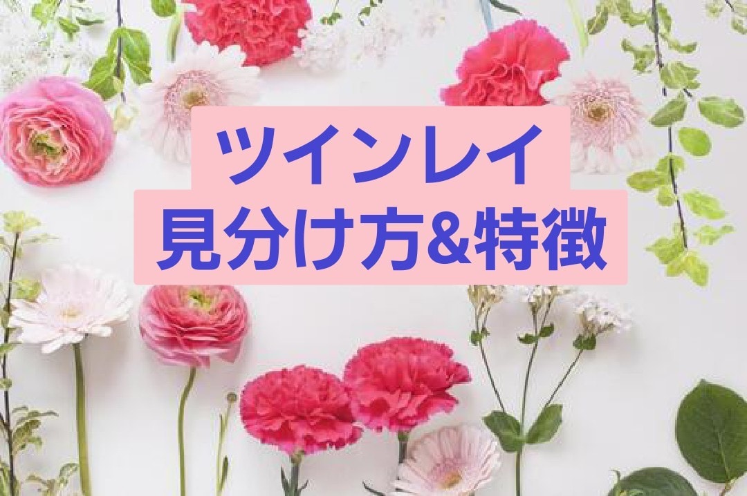 魂の繋がり徹底解明♡2人の相性ツインレイ診断します 10月特別(無料プレゼント)2人のオーラ鑑定書つき✨ イメージ5