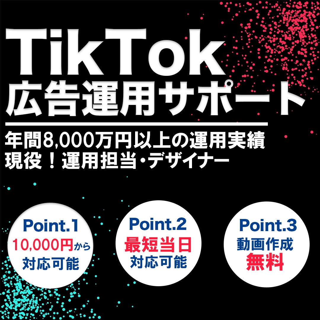 現役！広告運用担当者がTikTok広告代行します 年間8,000万円以上運用する運用担当者が広告成果最大化 イメージ1