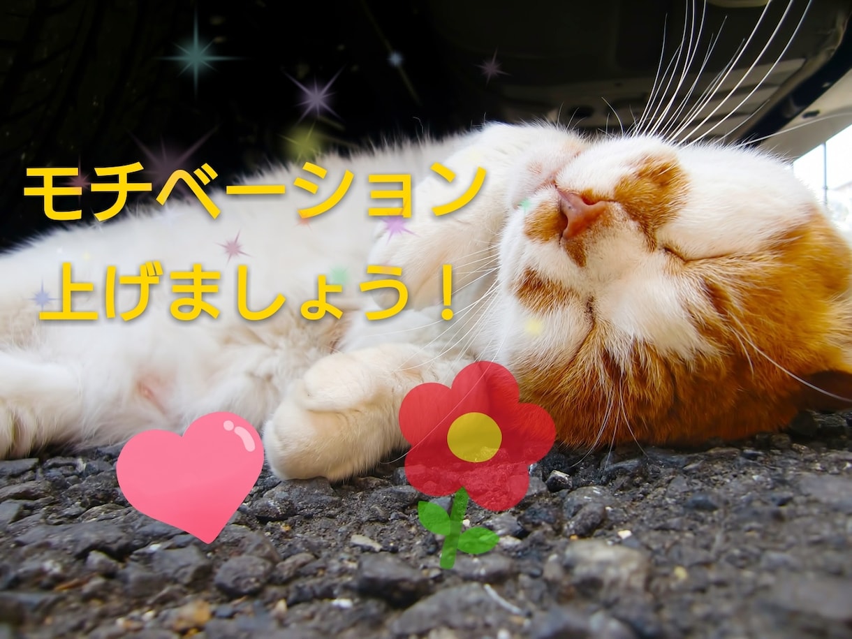 とにかく毎日励まします 褒められてモチベーション上げましょう！ イメージ1
