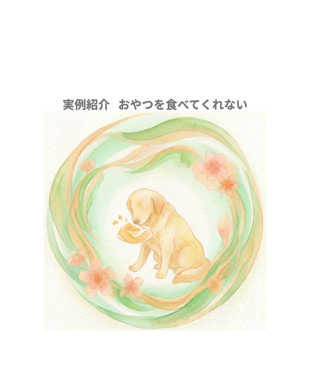 ペットの気持ちをアニマルコミュニケーションで視ます 限定特価中◆犬・猫・鳥・うさぎなどの動物を鑑定致します イメージ3