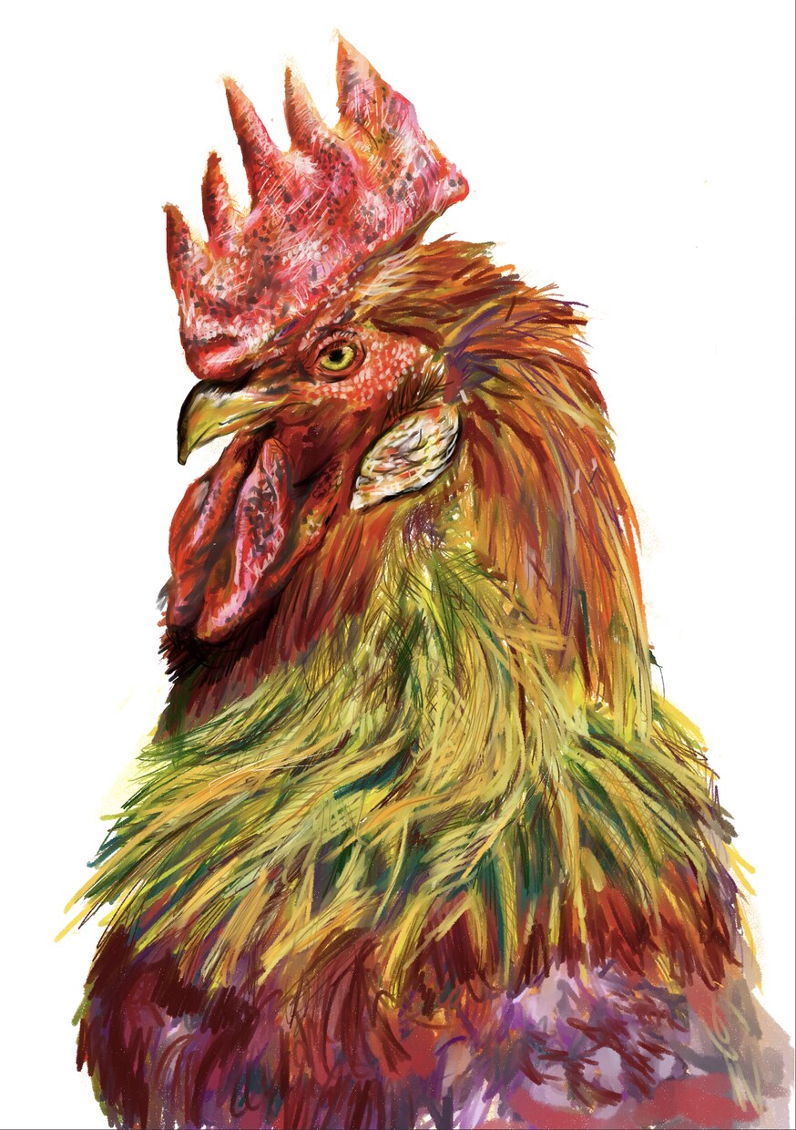 ペットの似顔絵・生物画を生き生きと描きます ペットの似顔絵など、生き生きした動物画をデジタルで書きます。 イメージ4