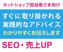 ネット通販で売れない原因をお伝えます 月商100万突破したが、何をしたらいいか分からない方 イメージ1
