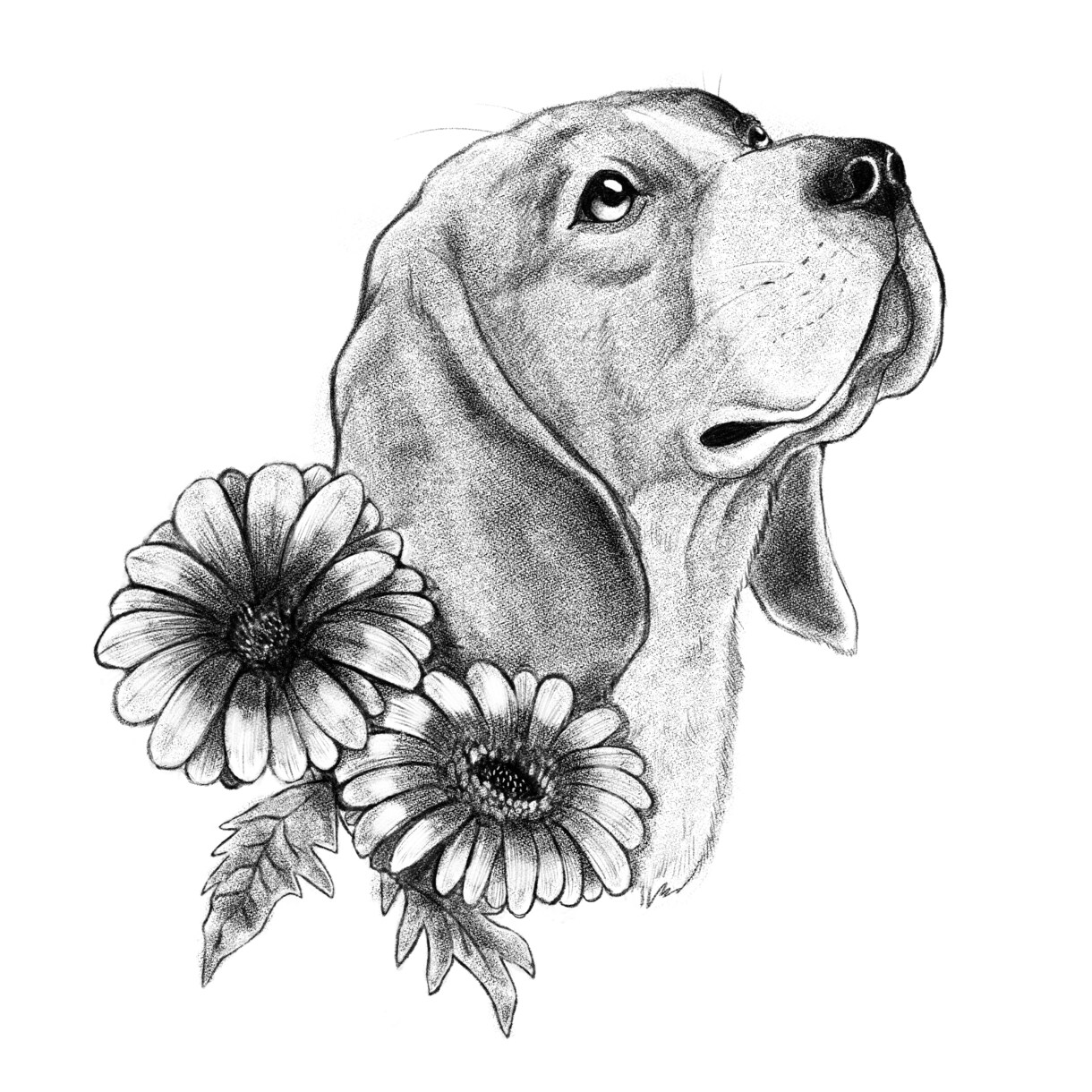 手描きで描く、動物の肖像画イラスト制作します 【先着5名様限定価格サービス中！】 イメージ6
