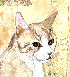 ペットの写真から、水彩画を手描きします 一般社団法人光風会で猫の絵を描いてきた作家が作品を制作します イメージ2