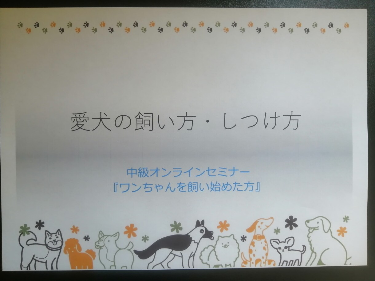 家庭犬専門トレーナーがしつけ方の基本をお伝えします 飼い方、しつけ方、その他日々のお困り事何でもご相談にのります イメージ6