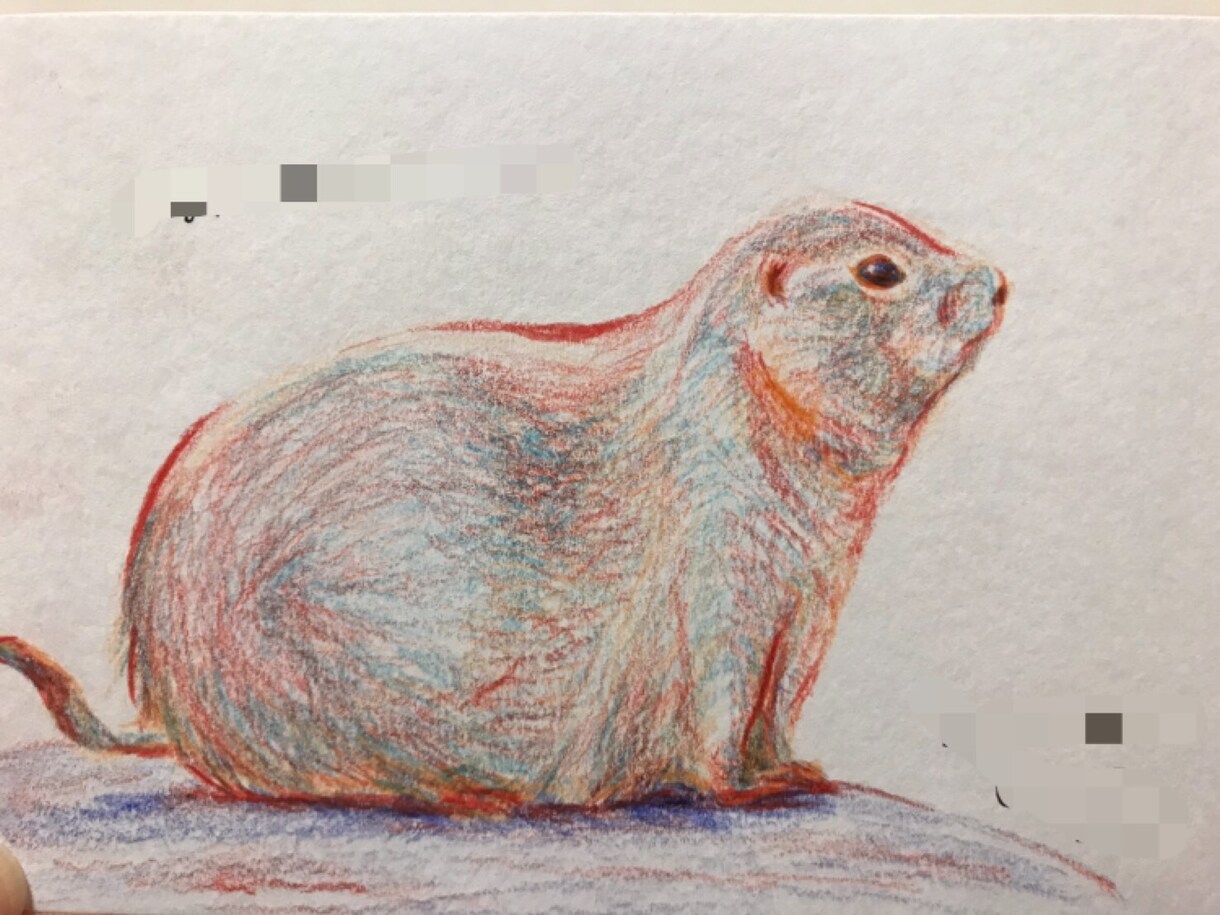 ペットのイラストを描きます あなたのお気に入りのペットを好きな色で残す イメージ4