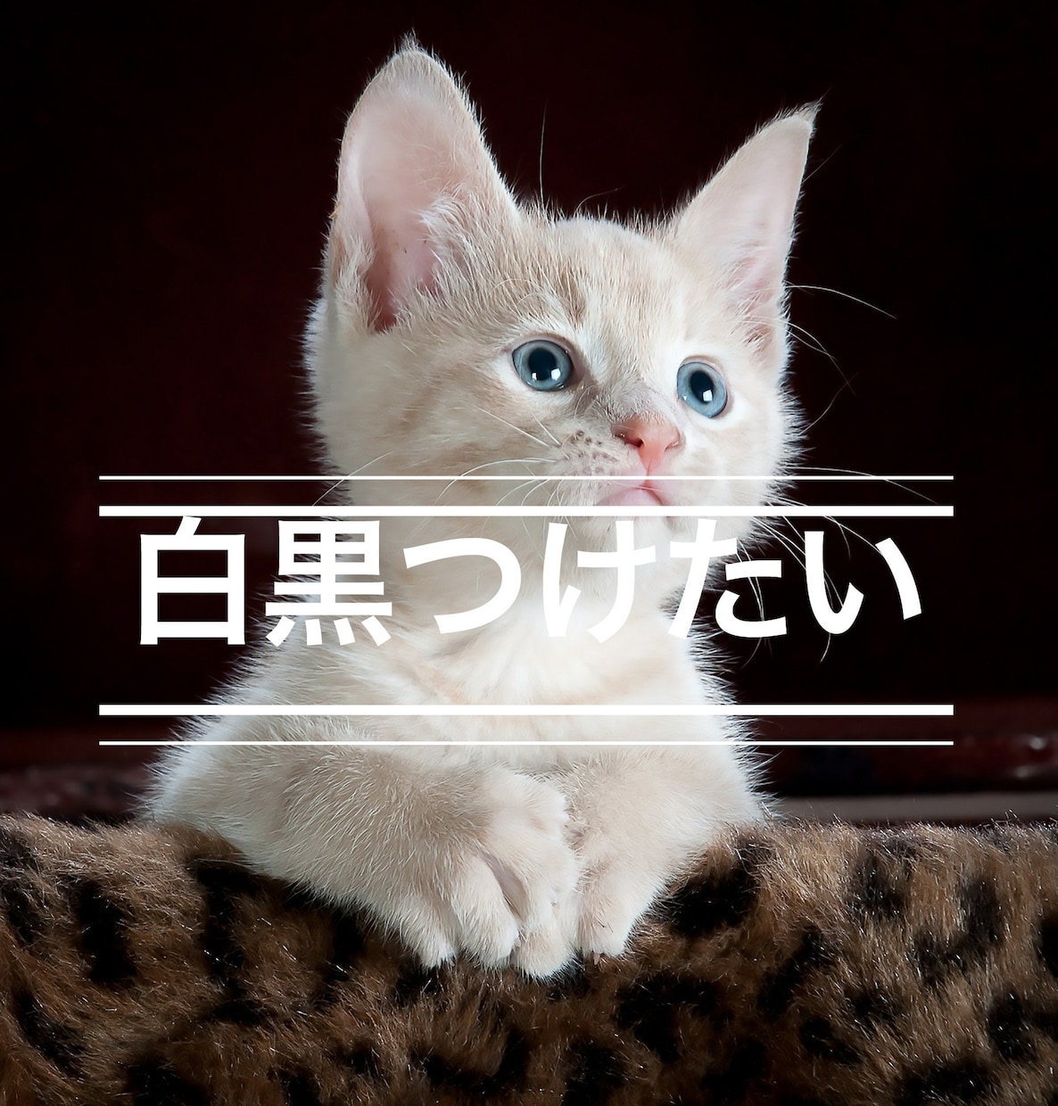 YesかNoか？恋や仕事の悩みに【白黒】つけます ☆☆ジオマンシー（土占い）による二択占いでお悩み解決☆☆ イメージ1